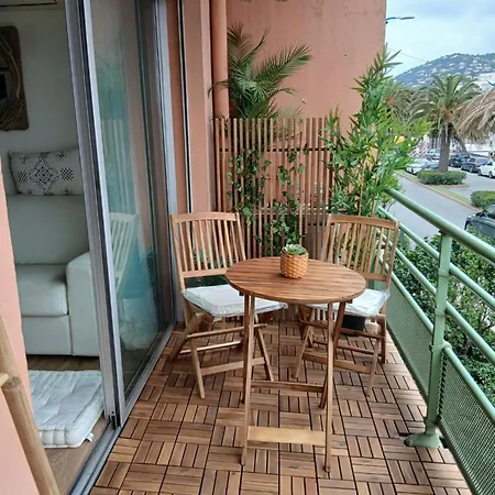 Les Palmiers דירה